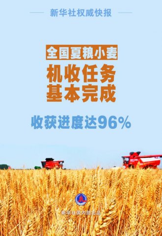 η룡ȫġС