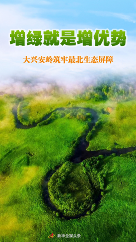 ���̾��������ơ������˰����������̬����