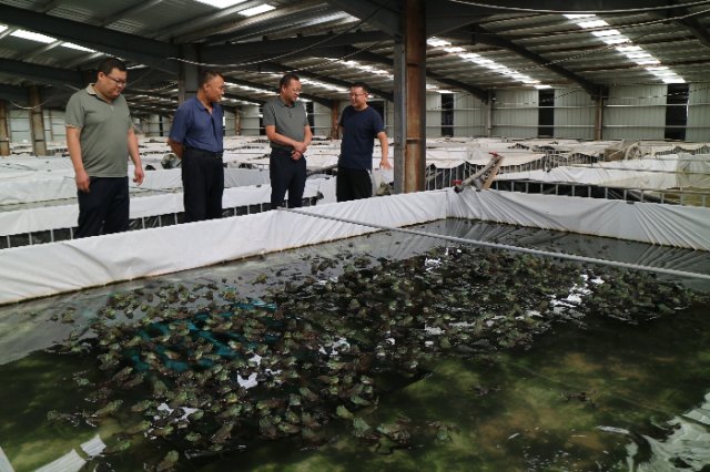 ����������˵���꣬��ȡ���ܡ���һƬ