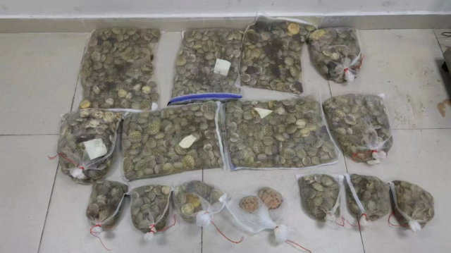 ȫ�������Ƿ��������������������°�������