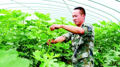 宁夏石嘴山市惠农区银河村:湿地保护引来“金凤凰”