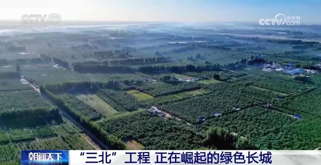 ����ɫ���ǡ��������𣡽ҿ������������̽�������