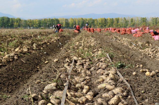 �½������������������ϲ�����