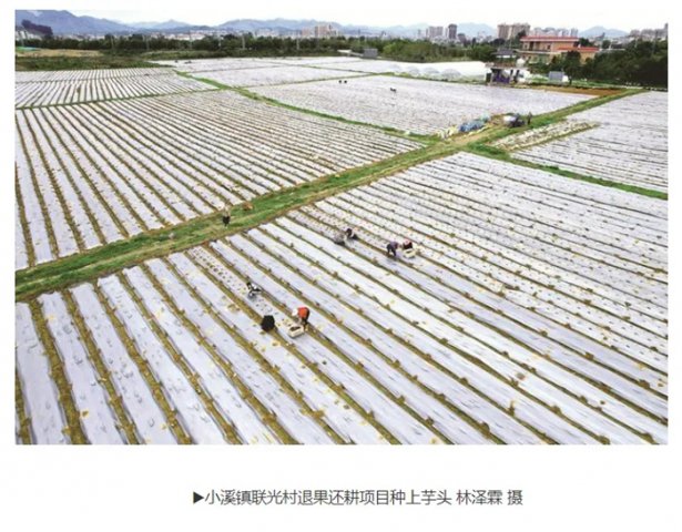 ��������ƽ���� ǿ����̬���� �ٽ���ҵת��