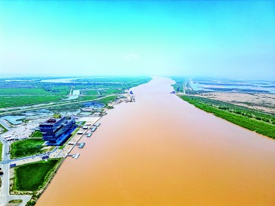 珍视自然瑰宝 守护候鸟迁飞——黄(渤)海候鸟栖息地保护见闻
