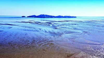 珍视自然瑰宝 守护候鸟迁飞——黄(渤)海候鸟栖息地保护见闻