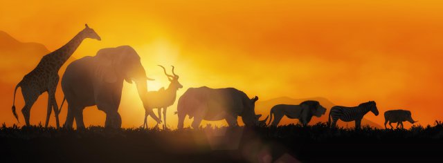 ������Ȼ����᣺ȫ��Ұ����������50���������߳�