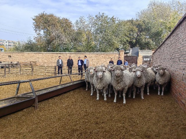 ���������ų�̨���������ٽ�����ҵ�ȶ���չ