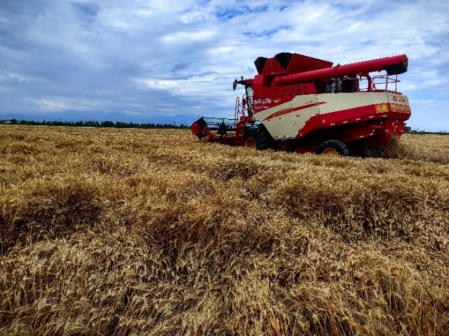 ���������ų�̨�������� ����ʵʩ��ũҵ��е���ϸ��²�������