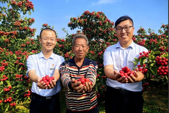 ɽ�����ũ��������ɽ髲�ҵ�Ĺ�Ӯ֮·