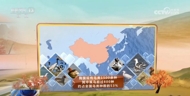 �����󡱡����ѡ��ϼҴ������ �����й������͡���