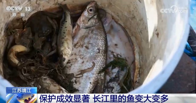 �������汣����Ч���� �ӡ������ࡱ��֤ˮ����Դ�Ȳ��ָ�