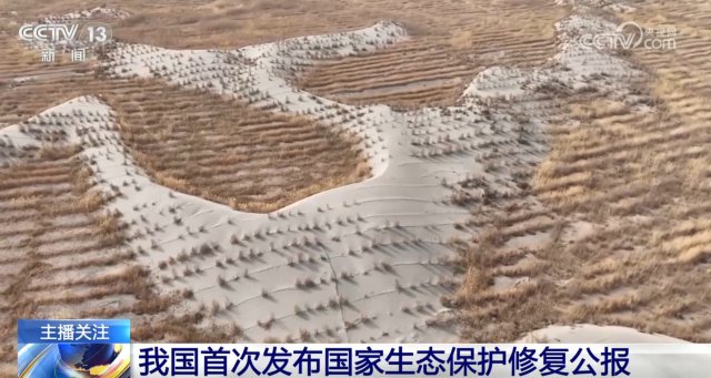 ��˵������̬�����޸��������ɼ�����