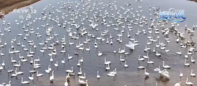 ���񼯽����ݡ����а��١� �������ѻ��ʫ����̬����