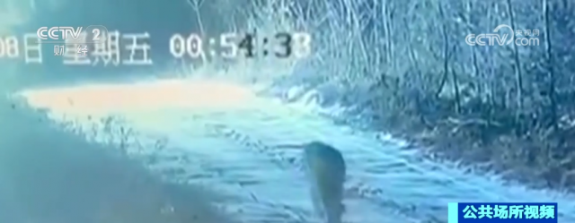 ��������Ա����������й����Ӷ��˶��