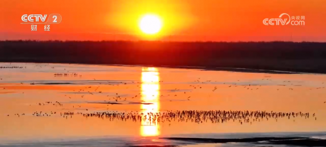 ����ʪ�س����ࡰ��԰�� �Ӻ������Ѽ�֤�����й���̬