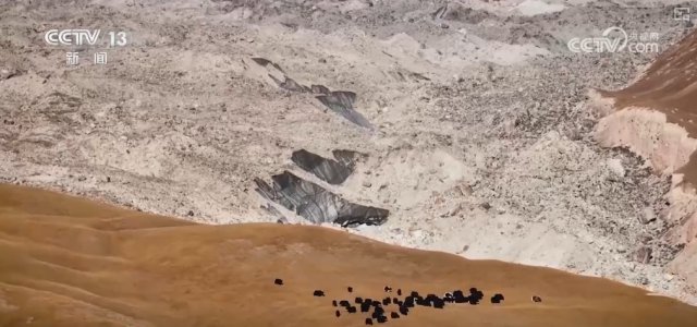 �����Ʋ��á����ӱ̲������������й��ĸ���ֵ����̬�����