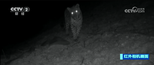 ������ϡ����Ͼ��ʡ��������� ������֤��������Ա����ɾ�