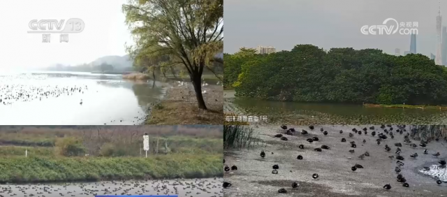 ��Σ��ϡ�͡���ʪ�ء����͡� ����Ǩ�㼾һ���ơ�����