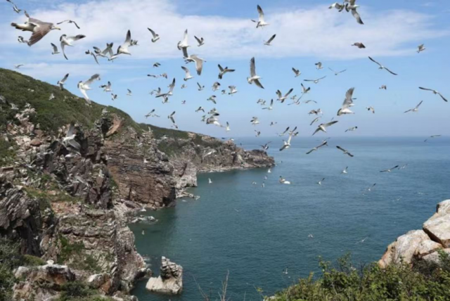 ���á��й�ʽ���������£�Ϊ������Ȼ�Ų�������Э����