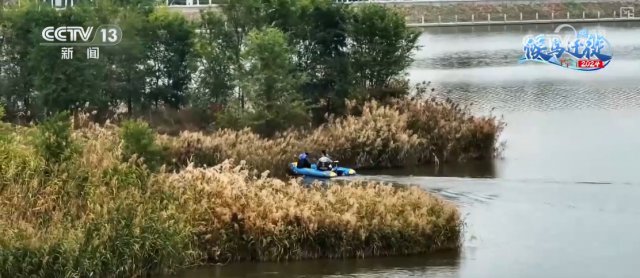 �߿Ƽ������ֶ��ػ�������԰ ���ר�ҵ����й����񱣻���Ч