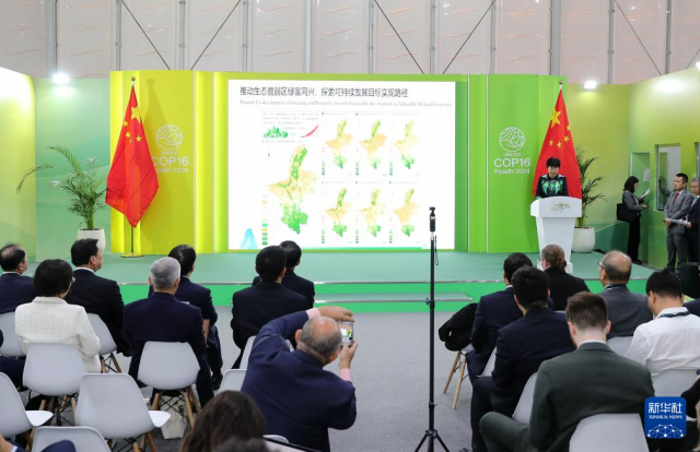 �����ľ��顱�߽����Ϲ����λ�Į�����