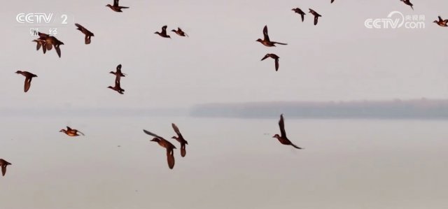 �й������������Ȼ��г�������� ��������Ա�������������