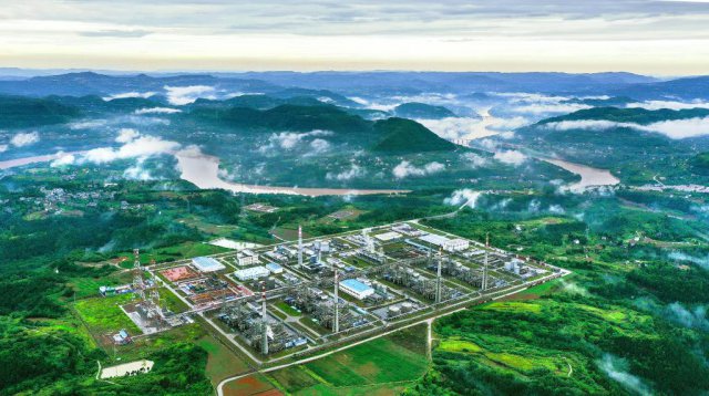 �ҹ�����������ư��������״�����