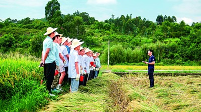 “行走”的思政课,“走新”又“走心”