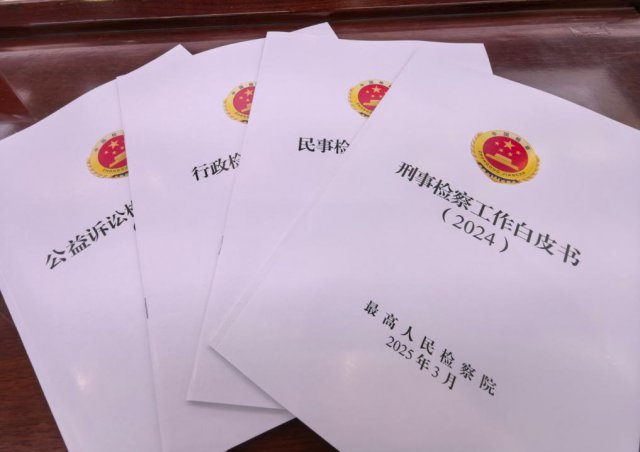 ��߼췢��2024�ꡰ�Ĵ��족������Ƥ��