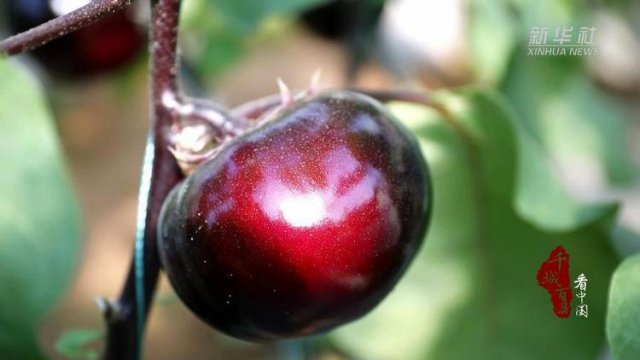 ɽ�����ģ����Ѵ������á�