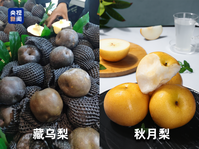 ��ס�ˮ��ƭ�֡�����Щ������˰��ˮ��Ҫ֪��