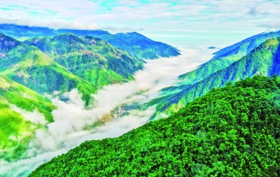 武夷山国家公园:千峰生灵跃 九曲草木深