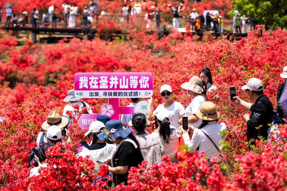 首季中国经济观察|听,文旅消费迸发新活力