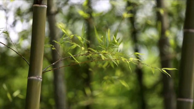 ������̬�¾�����Ķ����ǻ�