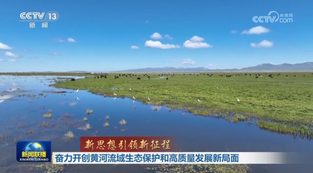 ���������ƺ�������̬�����͸�������չ�¾���