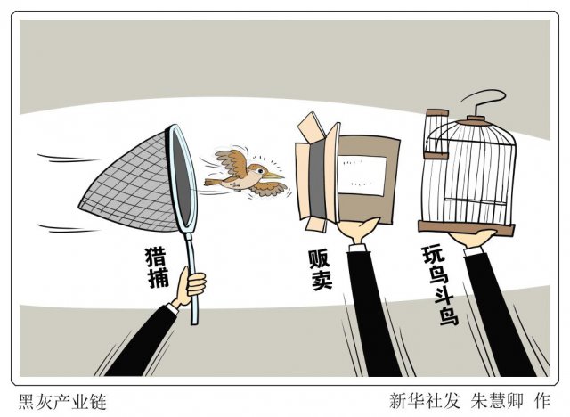 Ī�á��������䡰������ ���ġ��������䡰������