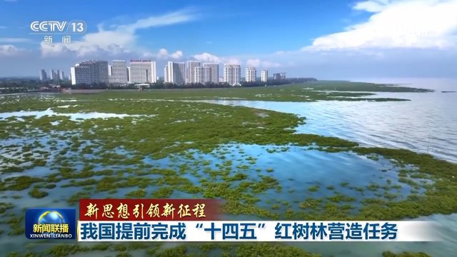 �ҹ���ǰ��ɡ�ʮ���塱������Ӫ������