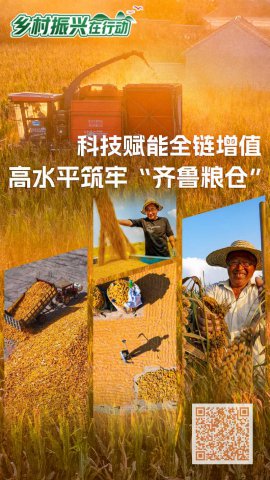 �Ƽ�����ȫ����ֵ ��ˮƽ���Ρ���³���֡�