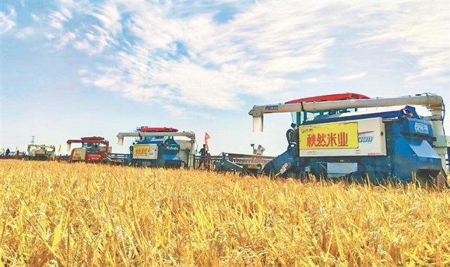 �������������������������ǰ3��5��