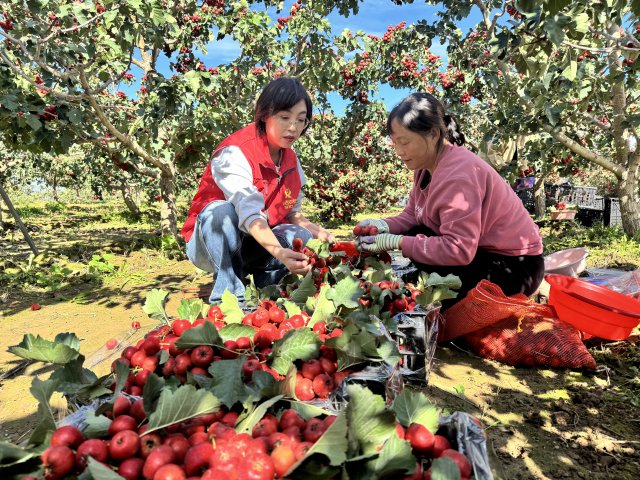 ɽũУ켱Ԯɽգڷũͬ