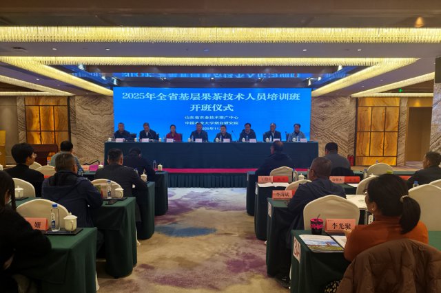 2025��ȫʡ������輼����Ա��ѵ������̨�ٰ�