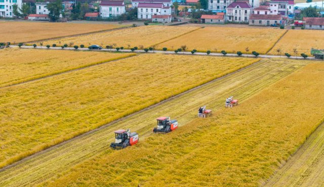 ������ũ�幤�����鿴2026�ꡰ��ũ��