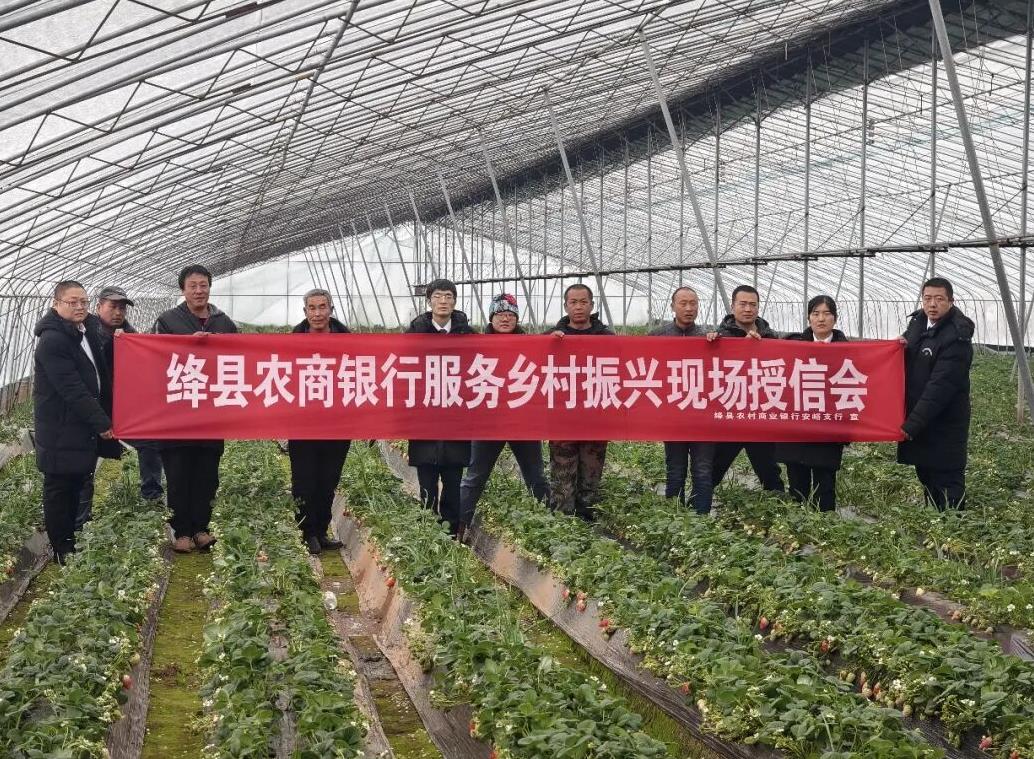 ɽ�����ũ�����С������﷫ ������ƪ���׼�Ӫ���