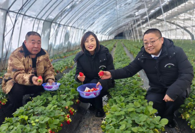 ɽ�����ũ���а���֧��20�������׼����Ŀ��