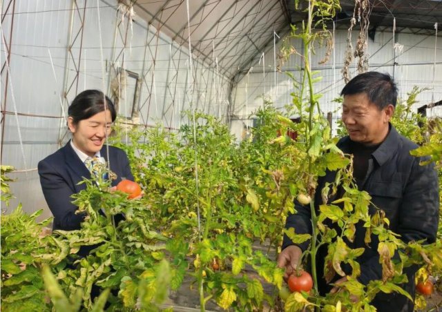 �����ڴ��ꡱ����Ұ ����ɽ�����ũ�����и��ܴ�������������ʵ