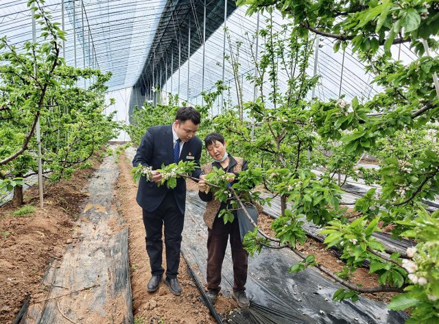 ɽ�����ũ�����д�ô������������ȭ