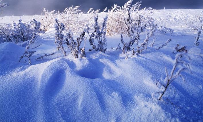 �����ں�ǿ���� ��ɽ��ˮ������