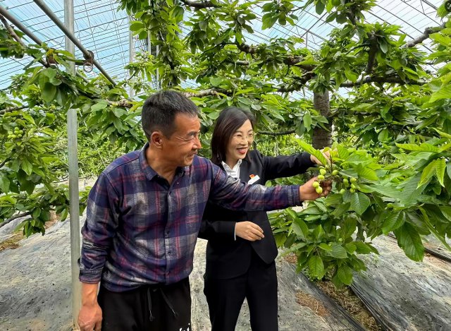 ɽ�����ũ�����У� ����ӣ��ũ��æ����ץũʱ���ȡ�����